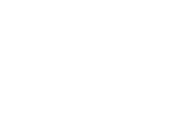 Bueno Wines