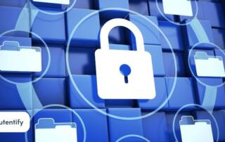 solução antifraude